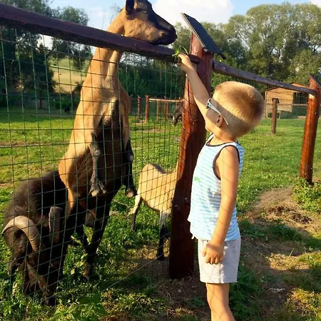 115 Tatralandia بيت خشبي *